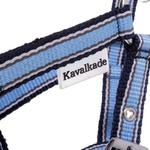 Kantar dla źrebaka Kavalkade