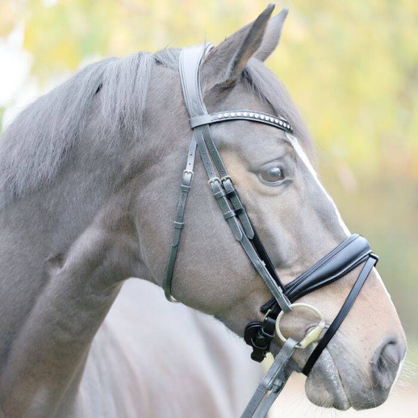 Nachrapnik szwedzki Kavalkade Charlotte