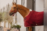 Derka osuszająco-termiczna dla konia Kentucky Horsewear Cooler Rug PROtherm