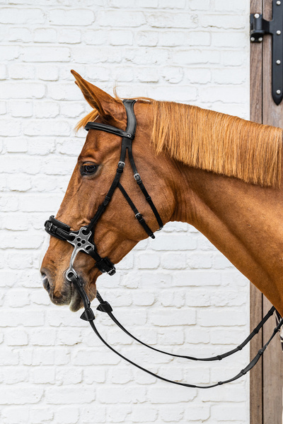 Hackamore Dy'on New English Collection NE-14003