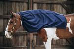 Kaptur osuszający dla konia Kentucky Horsewear Cooler Fleece Horse Scarf