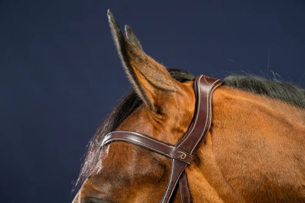 Ogłowie anatomiczne Dy'on D Collection X-FIT