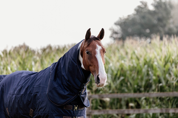 Derka padokowa Kentucky Horsewear All Weather Waterproof Pro 300g