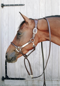 Uwiąz z łańcuszkiem pokrytym skórą syntetyczną Kentucky Horsewear Leather Covered Chain Lead