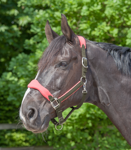 Kantar Waldhausen Premium Soft