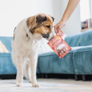 Smakołyki dla psa Perro Daj Dwa - Kaczka