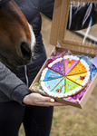 Tarta dla koni Candy Horse 