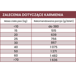 Karma mokra Perro - Indyk z cukinią