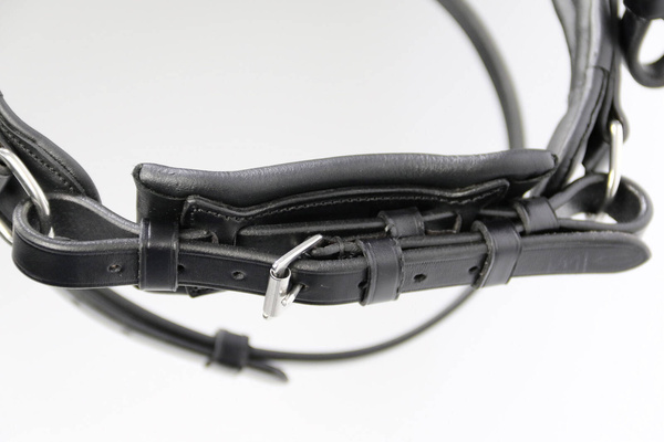 Ogłowie z nachrapnikiem szwedzkim Schockemöhle Sports Brantford