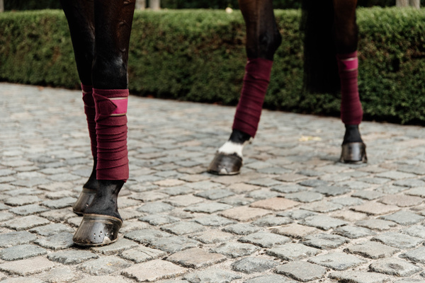 Owijki polarowe Kentucky Horsewear