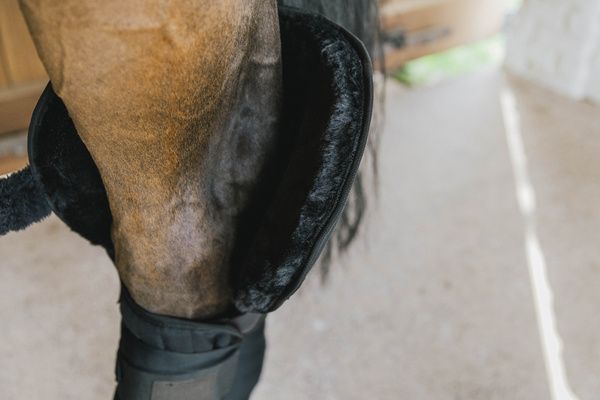 Podkładki pod owijki z ochroną stawu skokowego Kentucky Horsewear Transport Stable Bandage Pad with Hock Protection