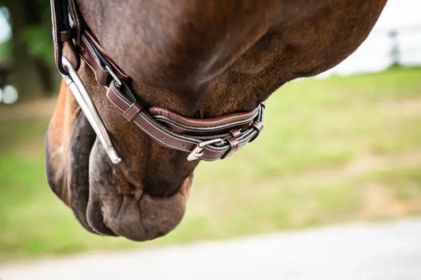 Nachrapnik szwedzki Dy'on Hunter Collection US04P