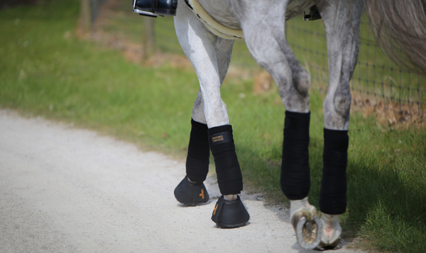 Kaloszki ze sztucznej skóry PVC Kentucky Horsewear