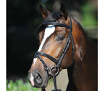 Ogłowie z nachrapnikiem kombinowanym Kavalkade Lorenz