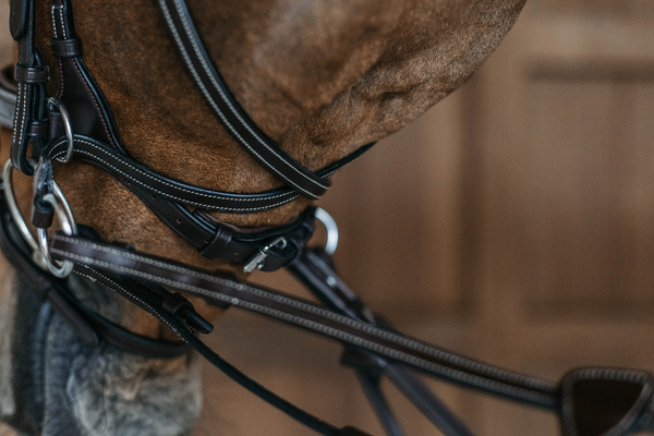 Ogłowie bezwędzidłowe 3w1 Dy'on Working Collection Motion WOCCCW