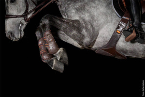 Ochraniacze przednie Schockemöhle Sports Air Flow Champion