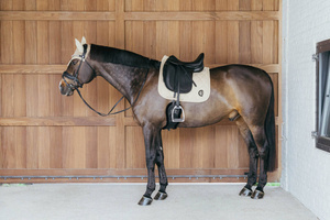 Czaprak ujeżdżeniowy Kentucky Horsewear Wave