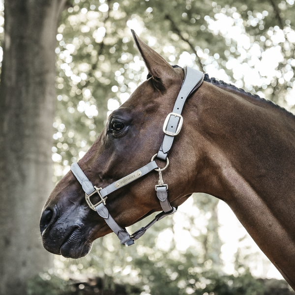 Kantar anatomiczny Kentucky Horsewear Anatomic Suede