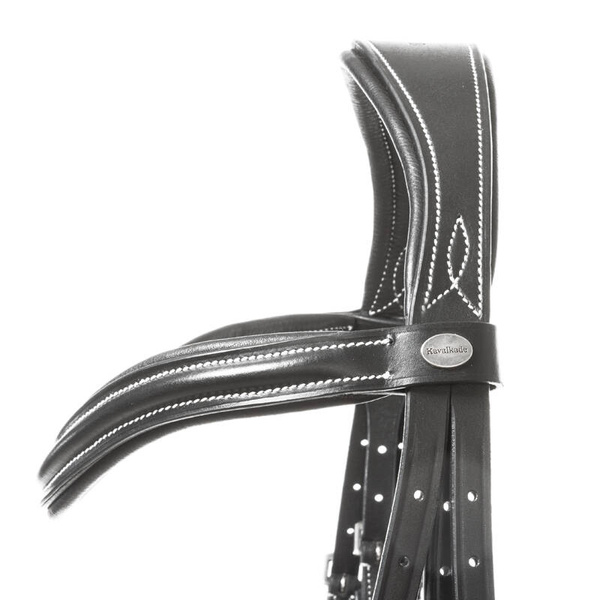 Ogłowie anatomiczne Kavalkade Ivy Plus