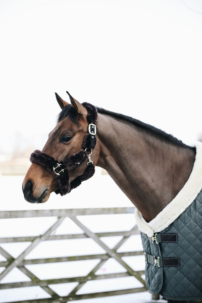 Kantar obszyty w całości syntetycznym futrem Kentucky Horsewear Sheepskin Shipping