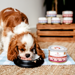 Karma mokra Perro JUNIOR - Wieprzowina i marchewka