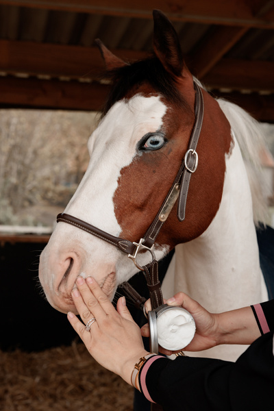 Krem ochronny dla koni SPF 30+ do nosa i wrażliwych miejsc Grooming Deluxe Sunblock