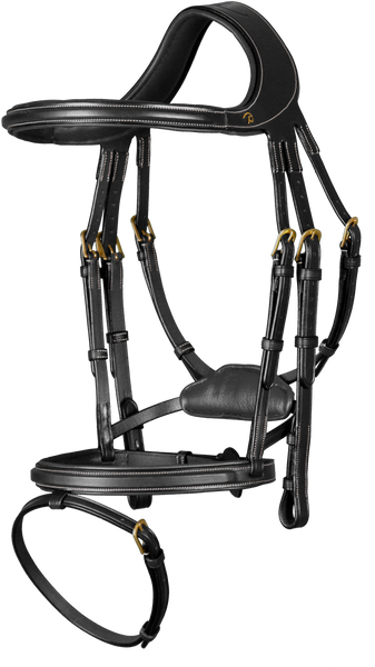 Ogłowie z cofniętą potylicą Dy'on D Collection Difference DYGXAU