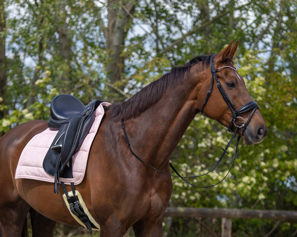 Pad ujeżdżeniowy QHP Super Grip