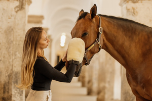 Rękawica do czyszczenia Grooming Deluxe