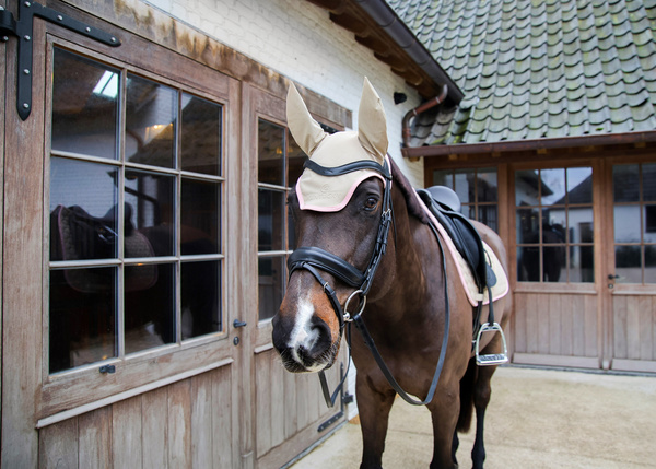 Nauszniki klasyczne Kentucky Horsewear Wellington Softshell