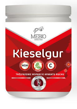 Intensywne wsparcie kości i stawów Mebio Kieselgur MSM+WITAMINA C 3kg