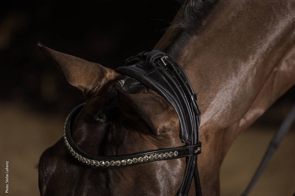Ogłowie z nachrapnikiem szwedzkim Schockemöhle Sportse Westminster