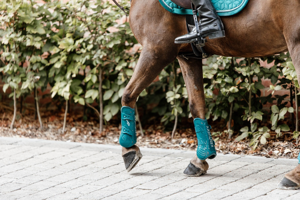 Ochraniacze przednie Kentucky Horsewear Bamboo Elastic