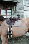 Czaprak wszechstronny Kentucky Horsewear Classic
