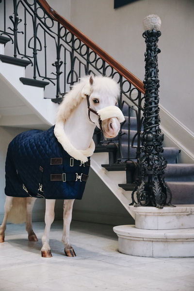 Derka stajenna dla kucyków Kentucky Horsewear Show Rug 160g