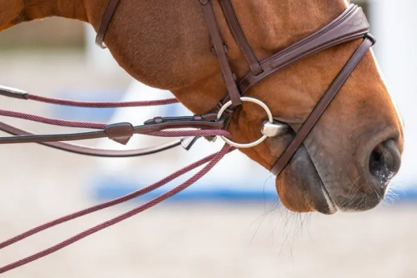 Czarna wodza skórzano-sznurkowa Dy'on New English Collection NE08B