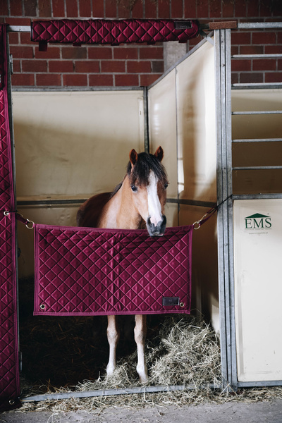 Bramka na boks Kentucky Horsewear Stable Guard