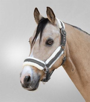 Kantar Waldhausen Sparkle