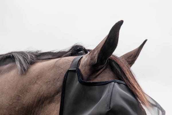 Maska przeciw owadom Kentucky Horsewear Classic