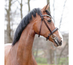 Ogłowie ze szwedzkim nachrapnikiem Kavalkade Florina