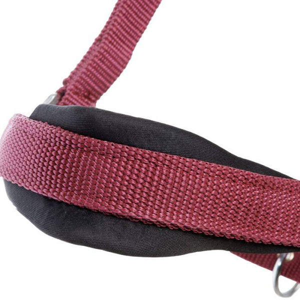 Kantar Kavalkade Classic Simple