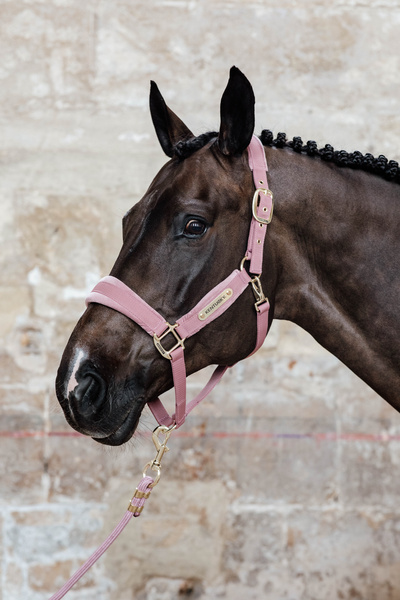 Uwiąz Kentucky Horsewear Lead Rope Basic