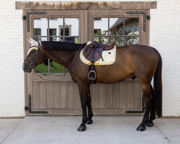 Nauszniki klasyczne Kentucky Horsewear Velvet Printing