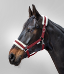 Kantar z futrem Waldhausen First