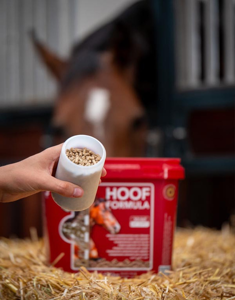 Suplement dla koni na zdrowe kopyta, sierść i ogólną kondycję KEVIN BACON'S Hoof Formula