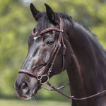 Ogłowie z nachrapnikiem hanowerskim Kavalkade Everana