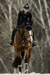 Ochraniacze ujeżdżeniowe z futrem Kentucky Horsewear Turnout Boots Leather - przody