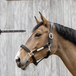 Kantar anatomiczny Kentucky Horsewear Anatomic Nylon