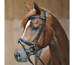 Ogłowie z nachrapnikiem szwedzkim Kavalkade Ravenna