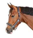 Kantar Waldhausen Athletic